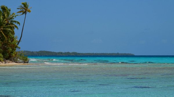 Location de voiture à dublin : optimisez vos vacances !