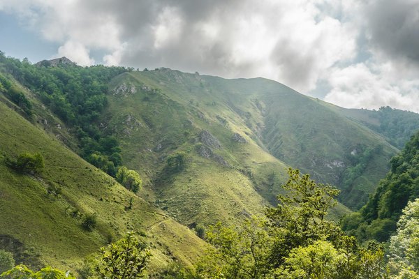 Peut-on trouver une location de vacances en Provence avec des ateliers de peinture et des randonnées guidées?