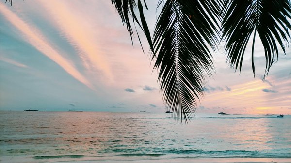 Comment organiser une croisière pour découvrir les traditions vinicoles du Chili ?